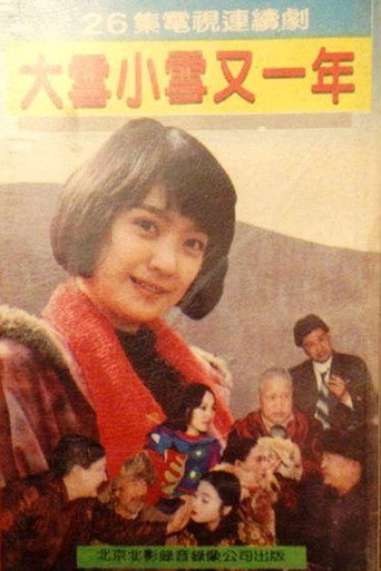 Póster de 大雪小雪又一年