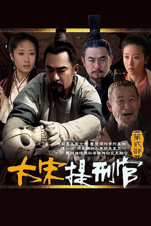 Póster de 大宋提刑官2