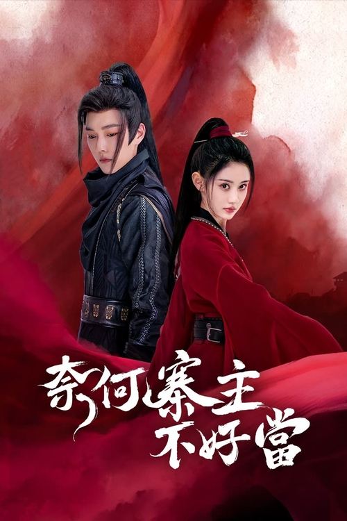Póster de 奈何寨主不好当
