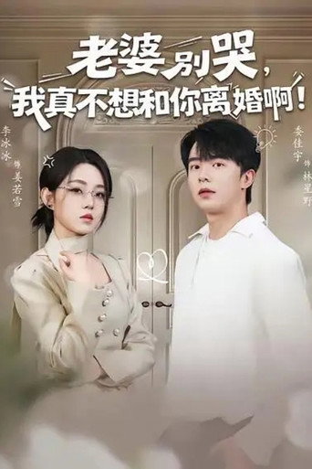Póster de 老婆别哭，我真不想和你离婚啊！