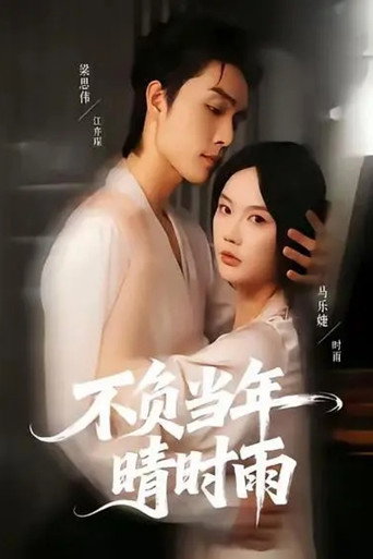 Póster de 不负当年晴时雨