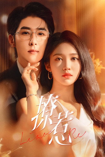 Póster de 撩惹