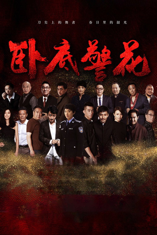 Póster de 卧底警花