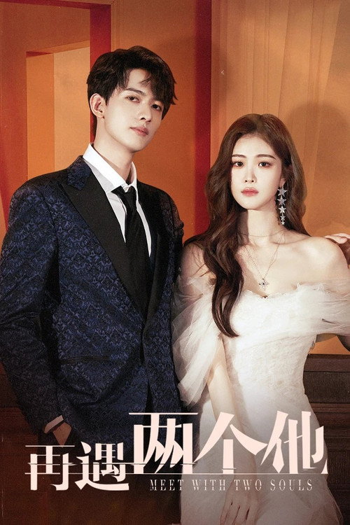 Póster de 再遇两个他