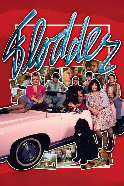 Póster de Flodder