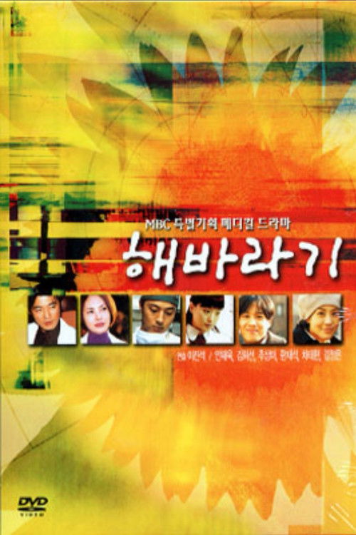 Póster de 해바라기