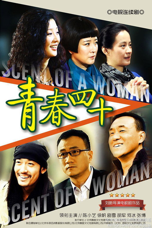 Póster de 青春四十