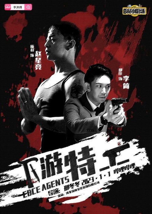 Póster de 下游特工