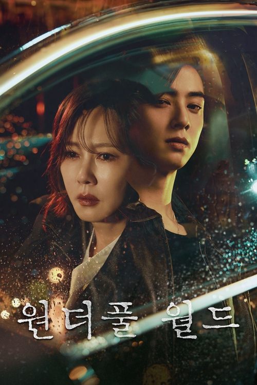 Póster de Wonderful World
