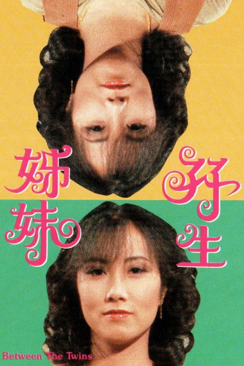 Póster de 孖生姊妹