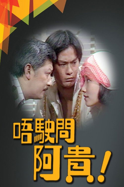 Póster de 唔駛問亞貴