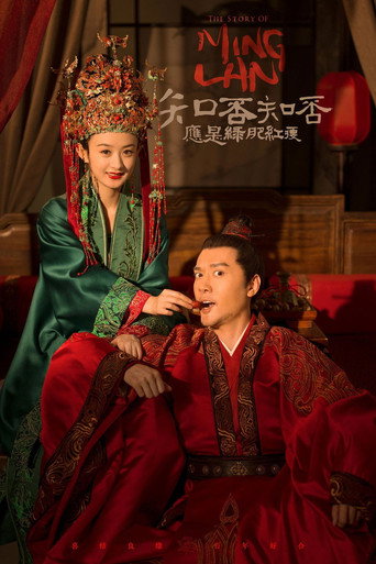 Póster de 知否知否应是绿肥红瘦DVD版