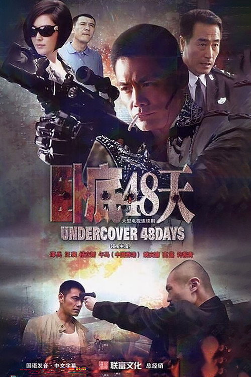 Póster de 卧底48天