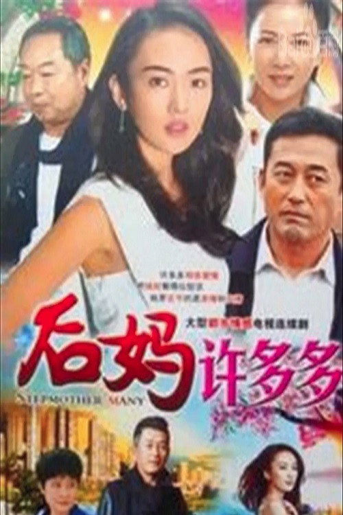 Póster de 后妈许多多