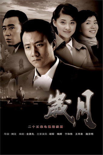 Póster de 岁月