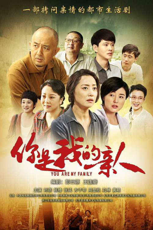 Póster de 你是我的亲人