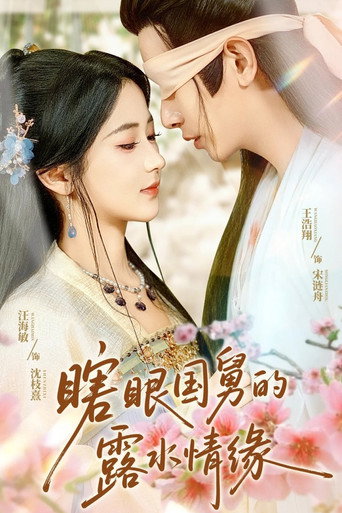 Póster de 瞎眼国舅的露水情缘