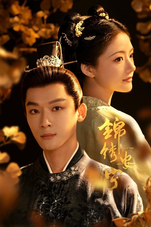 Póster de 锦绣安宁
