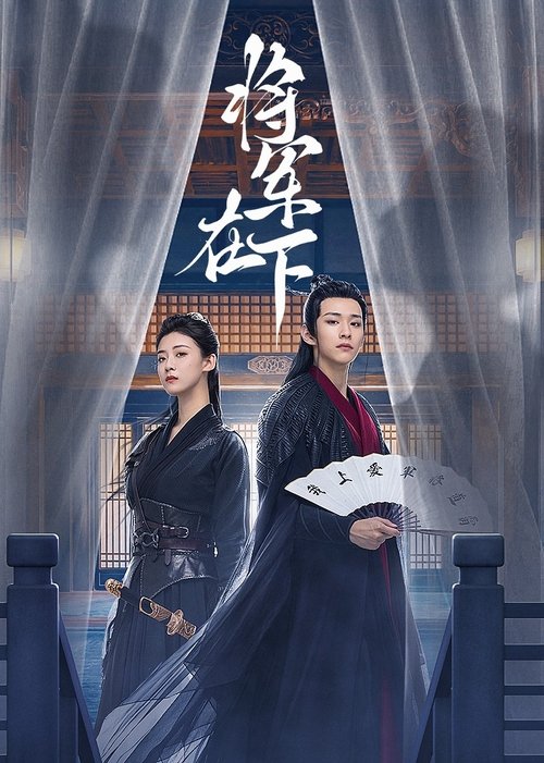 Póster de 将军在下