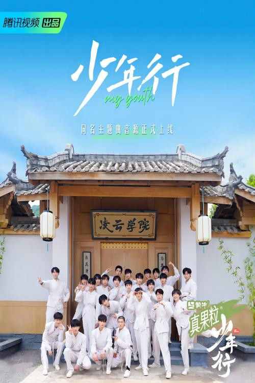 Póster de 少年行