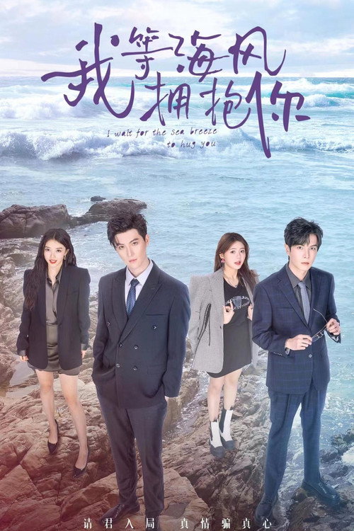 Póster de 我等海风拥抱你