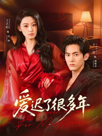 Póster de 爱迟了很多年