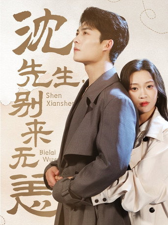 Póster de 沈先生，别来无恙