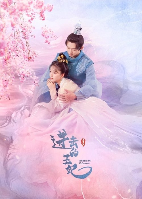 Póster de 进击的王妃