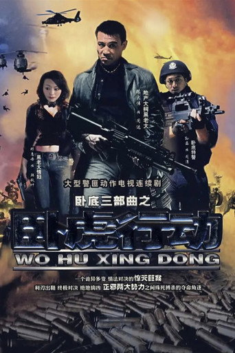 Póster de 卧虎行动