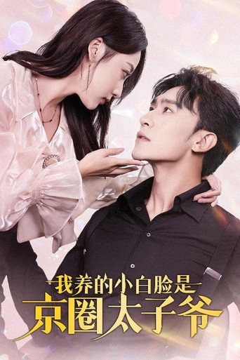Póster de 我养的小白脸是京圈太子爷