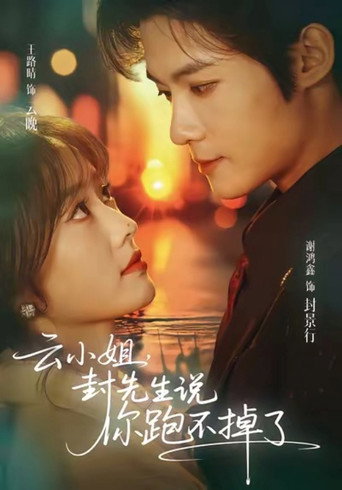 Póster de 云小姐，封先生说你跑不掉了