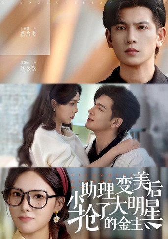 Póster de 小助理变美后，抢了大明星的金主