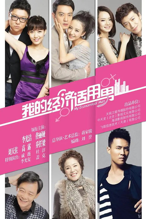 Póster de 我的经济适用男
