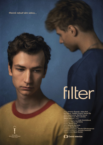 Póster de Filter