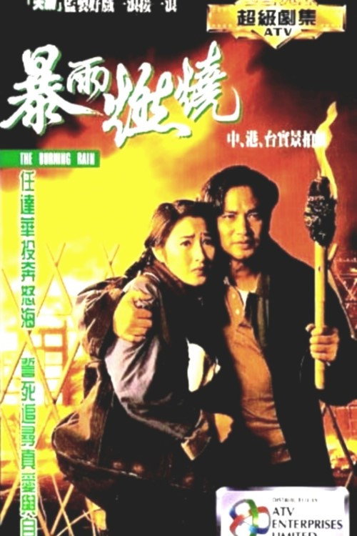 Póster de 暴雨燃燒