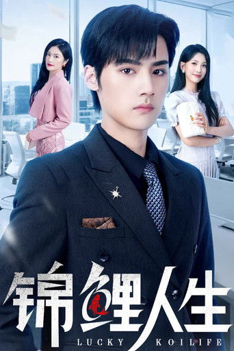 Póster de 锦鲤人生
