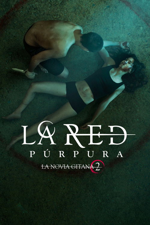 Póster de La red púrpura