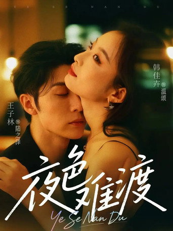 Póster de 夜色难渡