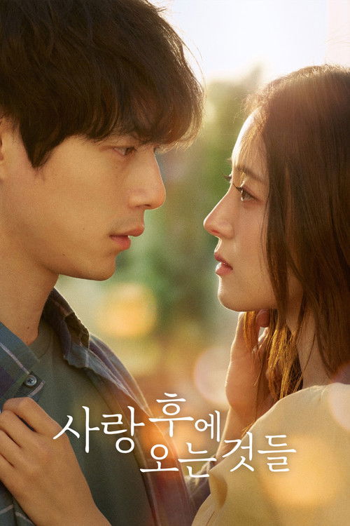 Póster de 사랑 후에 오는 것들