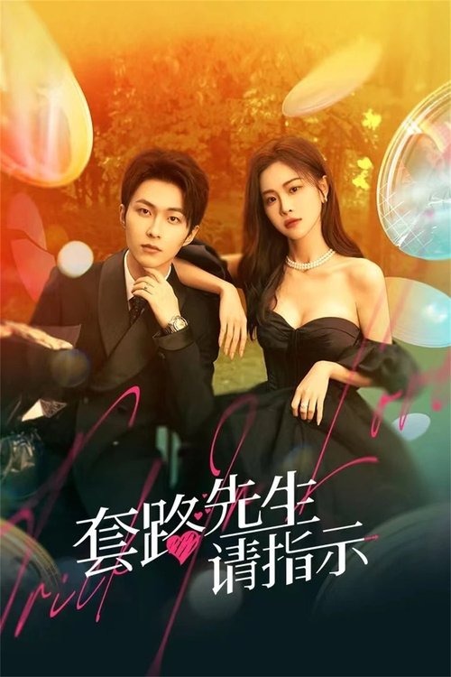 Póster de 套路先生请指示