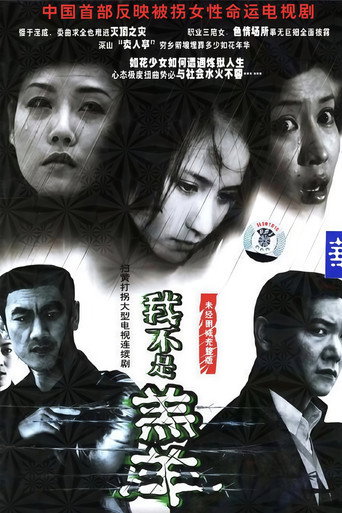 Póster de 又见花儿开