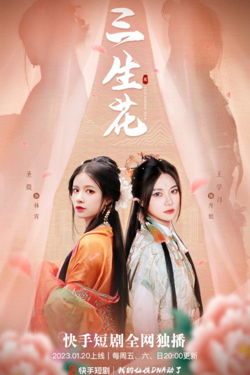 Póster de 三生花