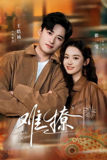 Póster de 难撩