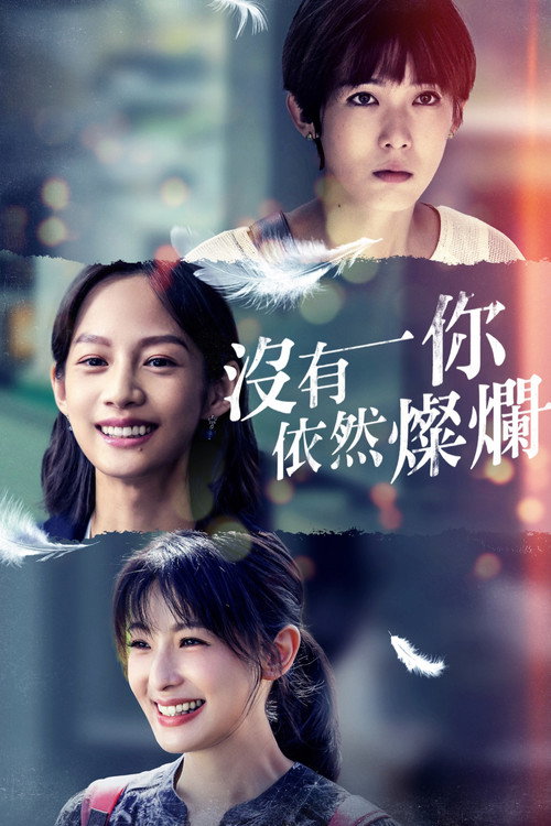 Póster de 沒有你依然燦爛