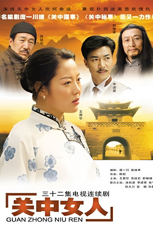 Póster de 关中女人