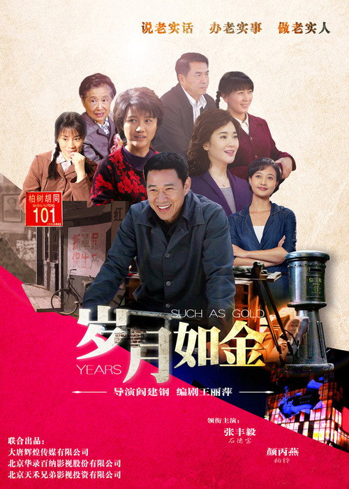 Póster de 岁月如金