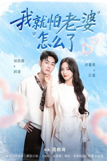 Póster de 我就怕老婆怎么了