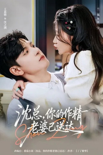 Póster de 沈总，你的作精老婆已送达