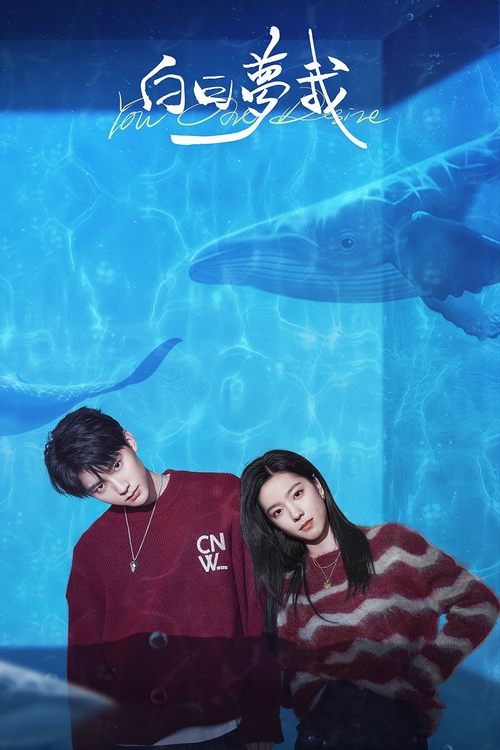 Póster de 白日梦我