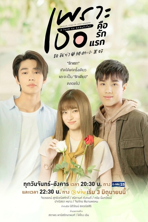 Póster de Phro Thoe Khue Rak Raek - Un amor tan hermoso